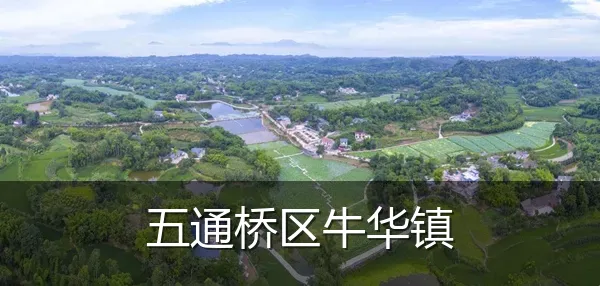 五通桥区牛华镇