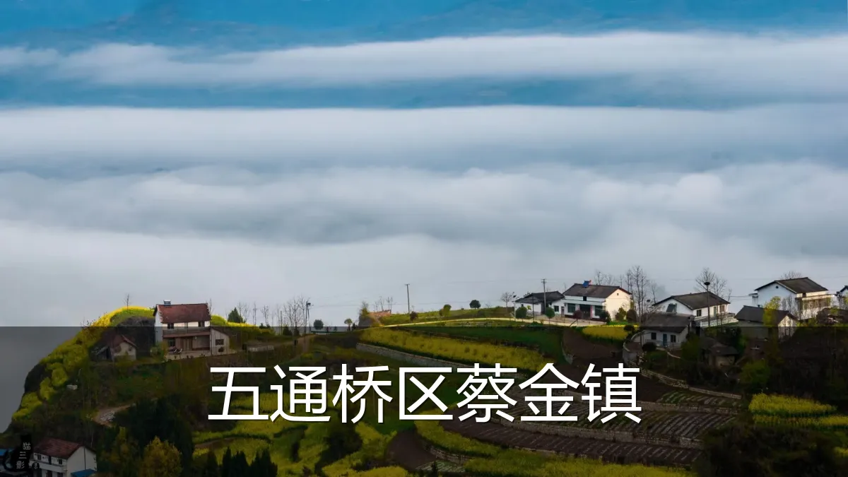 五通桥区蔡金镇