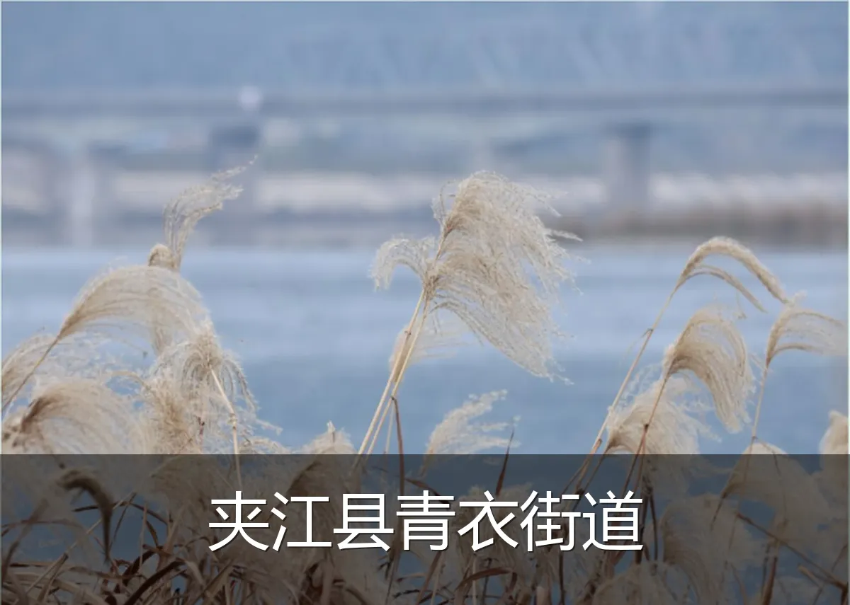 夹江县青衣街道