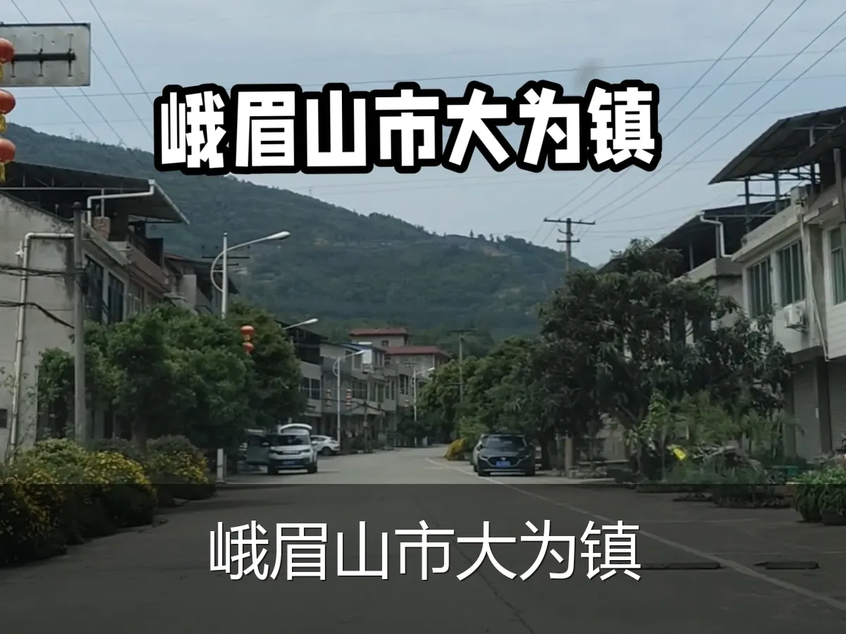 峨眉山市大为镇