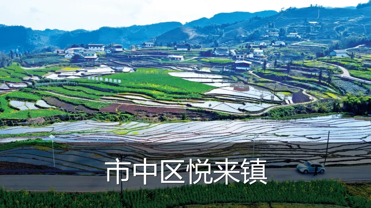 市中区悦来镇