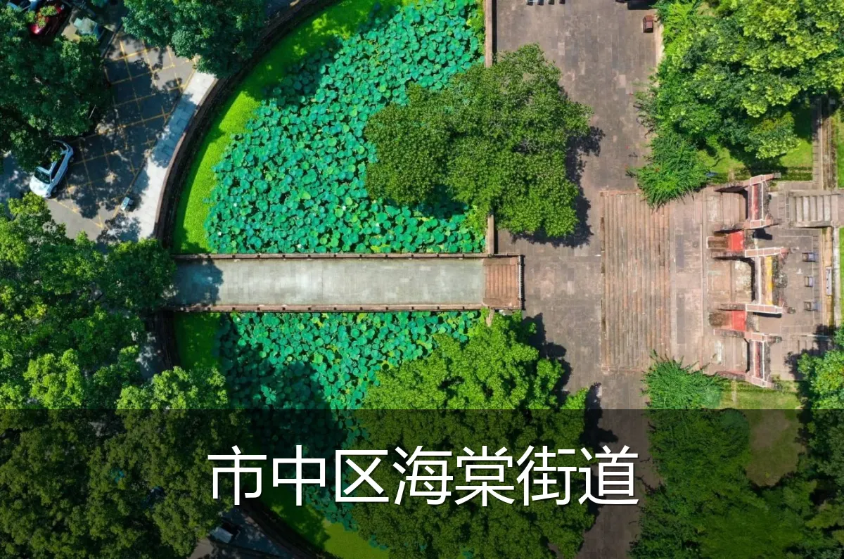 市中区海棠街道