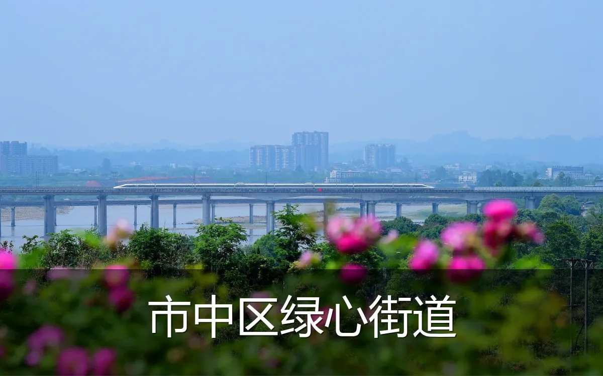 市中区绿心街道