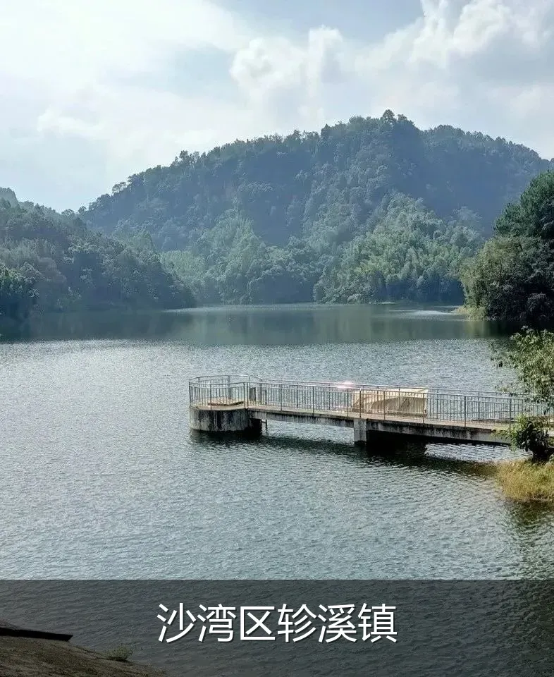沙湾区轸溪镇