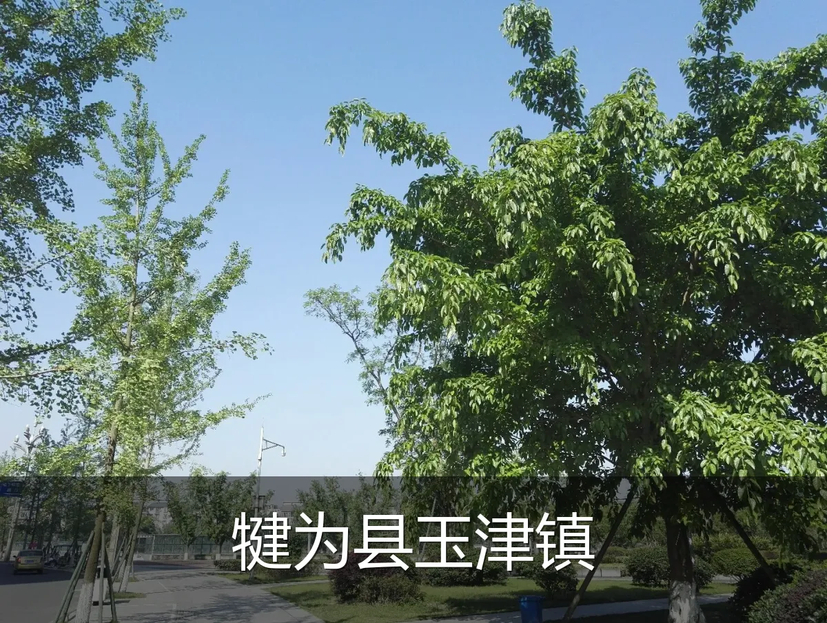 犍为县玉津镇